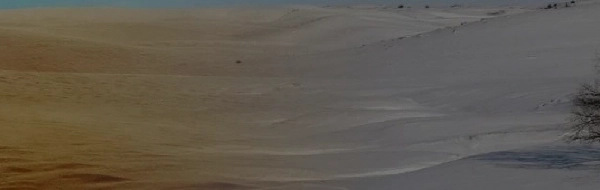 Environmental simulation Banner